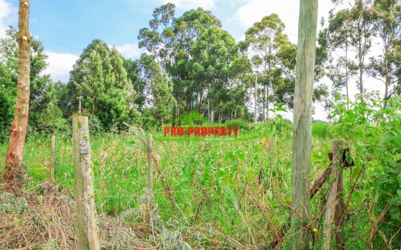 Prime Commercial Touching Tarmac 1/2 Acre Plot For Sale