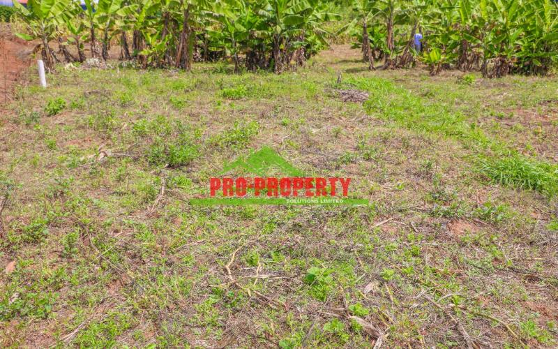 Prime Residential 50 By 100fts Plot For Sale In Kikuyu, Lusingetti