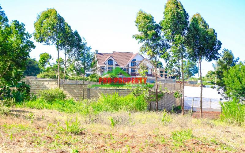 Prime Residential 1/4 acre plot for sale in ondiri-muslim, kikuyu
