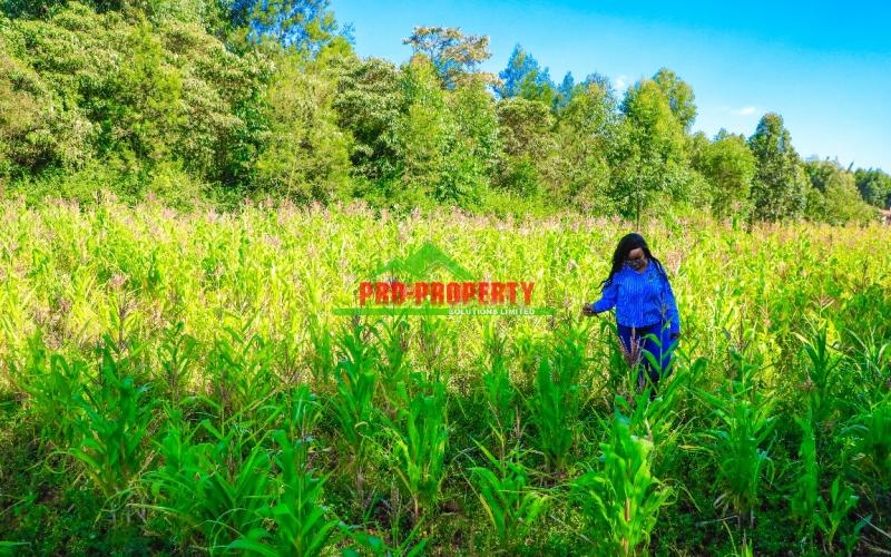 Prime Residential 1/4 Acre Plot For Sale In Ondiri-muslim, Kikuyu