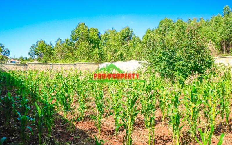 Prime Residential 50 By 100fts Plot For Sale In Ondiri-muslim, Kikuyu