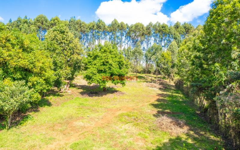 Prime Residential Land For Sale In Kikuyu, Gikambura