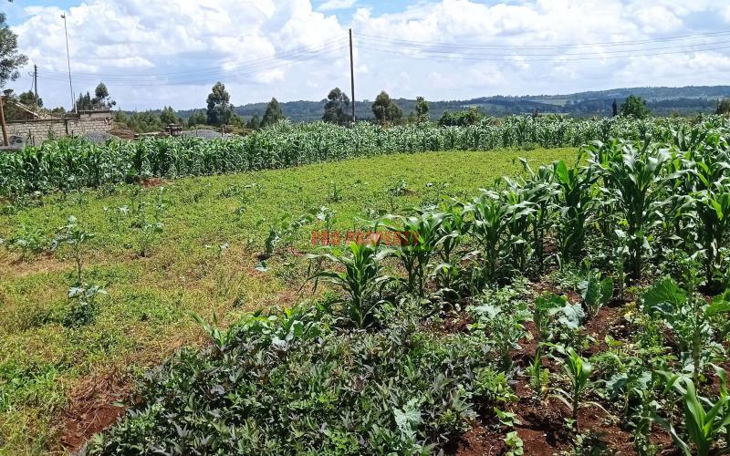 Prime Residential Plot For Sale In Kikuyu, Kiambaa.