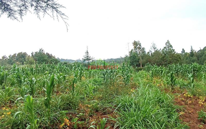 Quarter Acre Residential Plot For Sale In Kikuyu, Kamangu