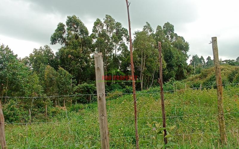 Residential 50 By 100ft Plot For Sale In Kamangu