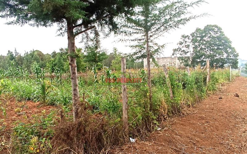 Quarter Acre Residential Plot For Sale In Kikuyu, Kamangu