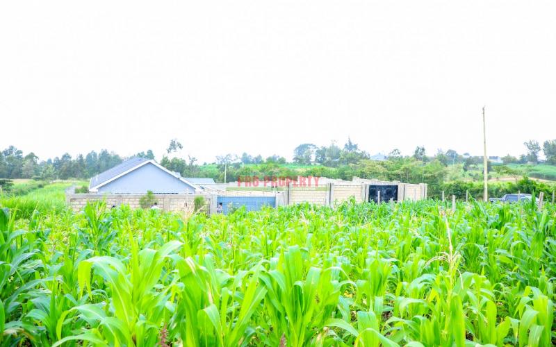 Prime Residential Plot For Sale In Kikuyu, Kamangu.