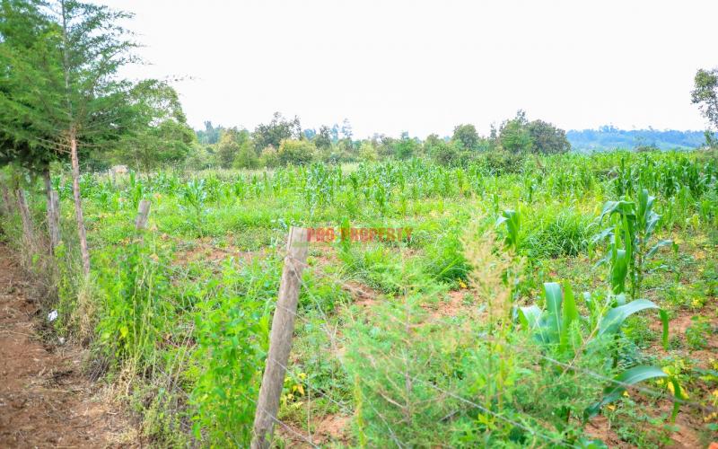 Prime Residential Plot For Sale In Kikuyu, Kamangu.
