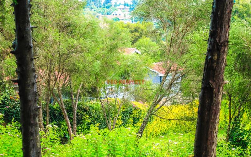 Prime Commercial Plot For Sale In Gitaru