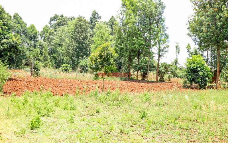 Prime Residential Plot For Sale Kikuyu, Gikambura