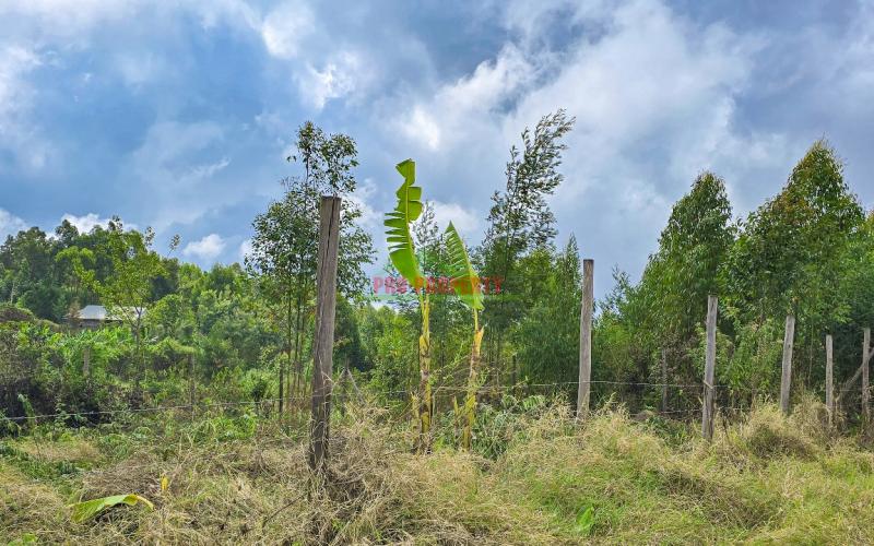 Prime Residential Plot For Sale In Kikuyu, Migumoini