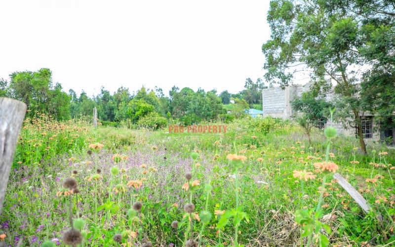 Prime Residential Plot For Sale In Kikuyu, Kamangu.