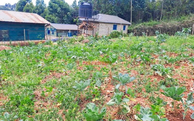 Plot For Sale In Kikuyu, Karai (migumoini Area)