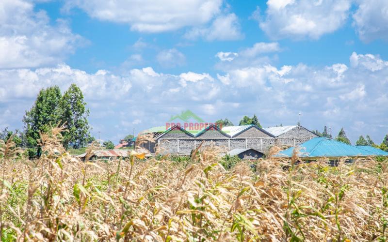 Prime Residential Plot For Sale In Kikuyu, Kamangu.