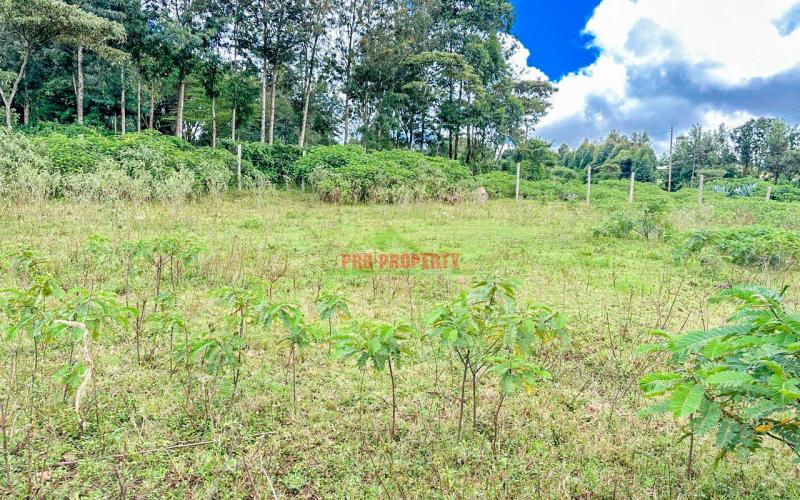 Prime Residential Plot For Sale In Kikuyu, Gikambura (rio-nderi Area).