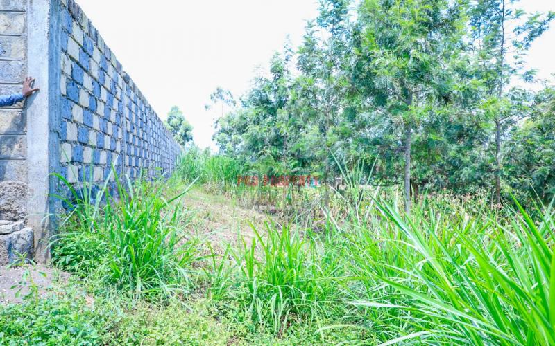 Prime Residential Plot For Sale Kikuyu, Thamanda