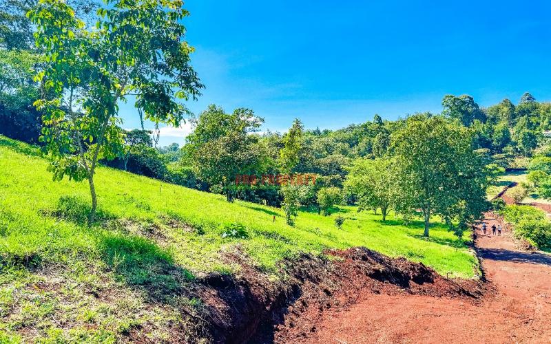 Prime 1/4 Acre Plots For Sale In Ngong (tulivu Estate)