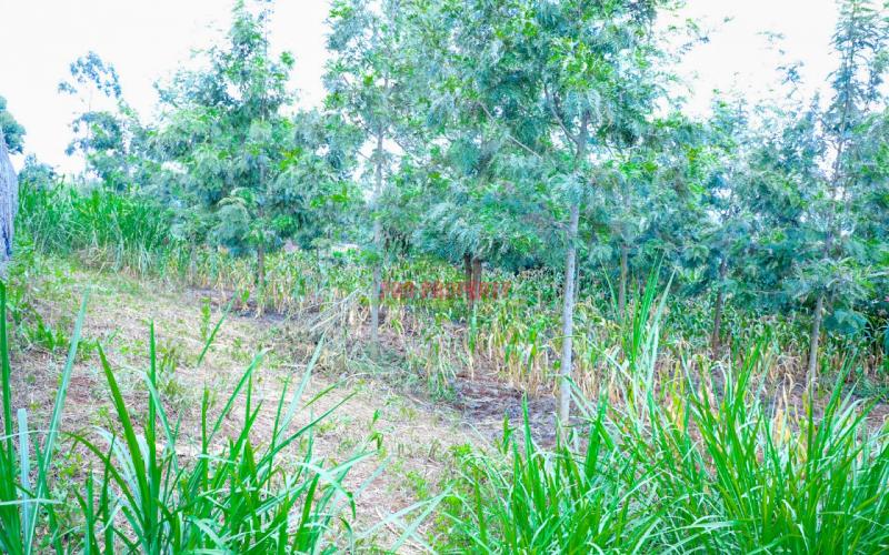 Prime Residential Plot For Sale In Kikuyu, Thamanda