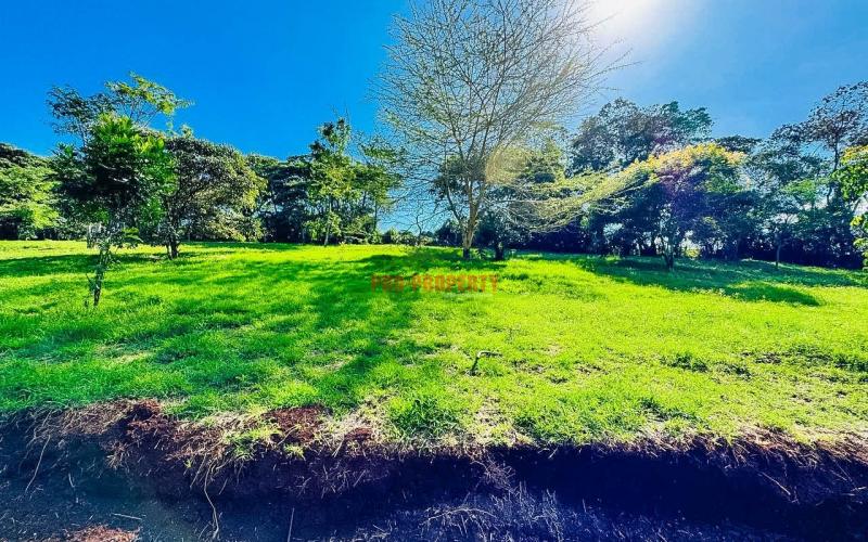 Prime 1/4 Acre Plots For Sale In Ngong (tulivu Estate)