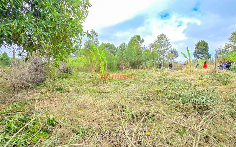 Prime Residential Plot For Sale In Kikuyu, Migumoini