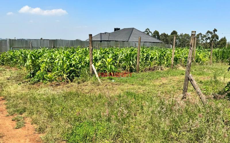 Prime Residential Plot for Sale in Kikuyu,Kamangu