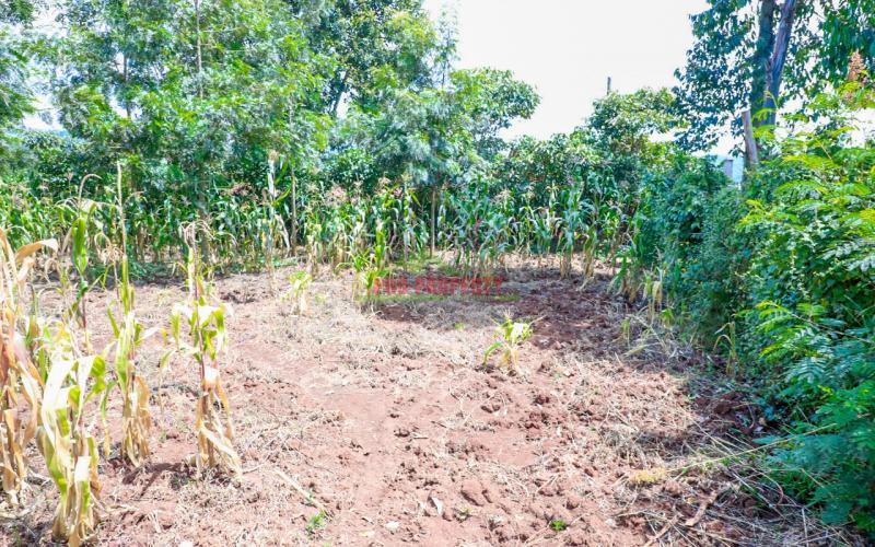 Prime Residential Plot For Sale Kikuyu, Thamanda