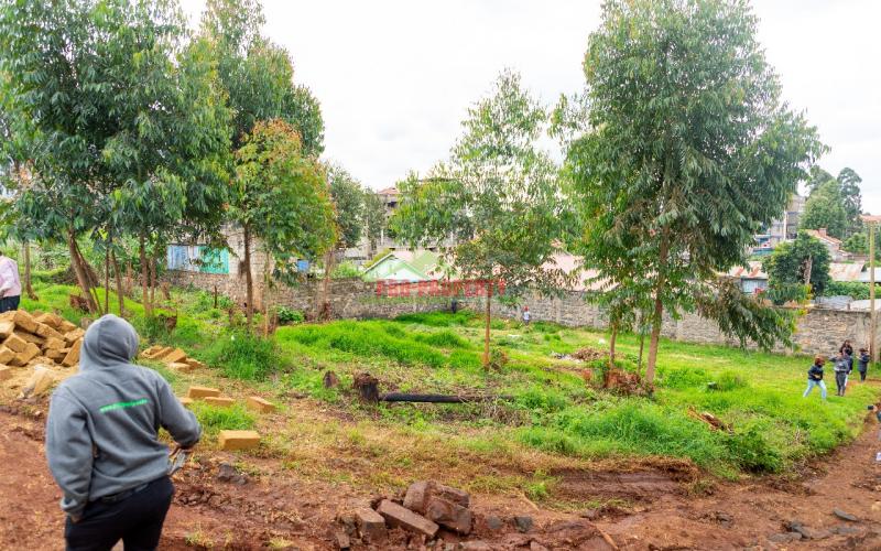 Prime Commercial Plot For Sale In Kikuyu, Zambezi