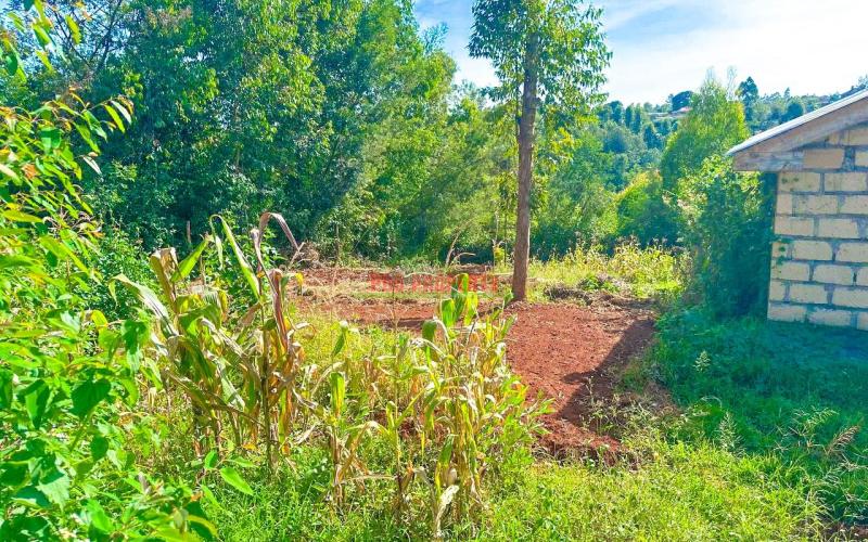 Residential Plot For Sale In Kabete ,kibichiko, Ruku Area