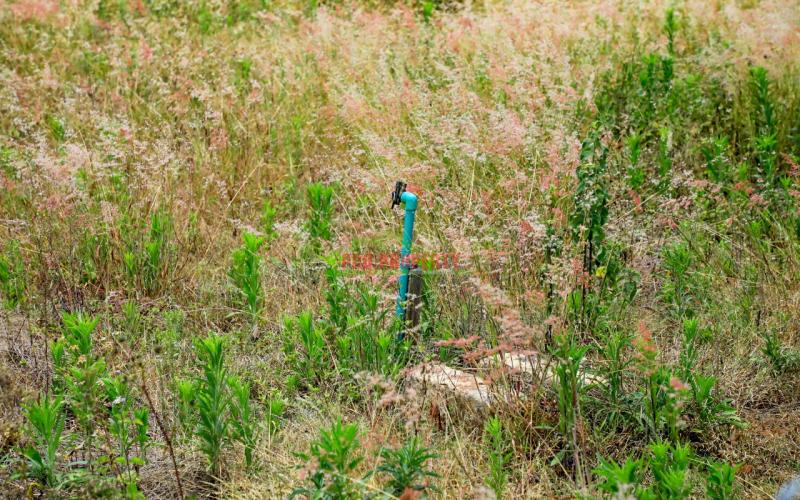 Prime Residential Plot For Sale In Kikuyu, Kamangu (gated Community Concept).