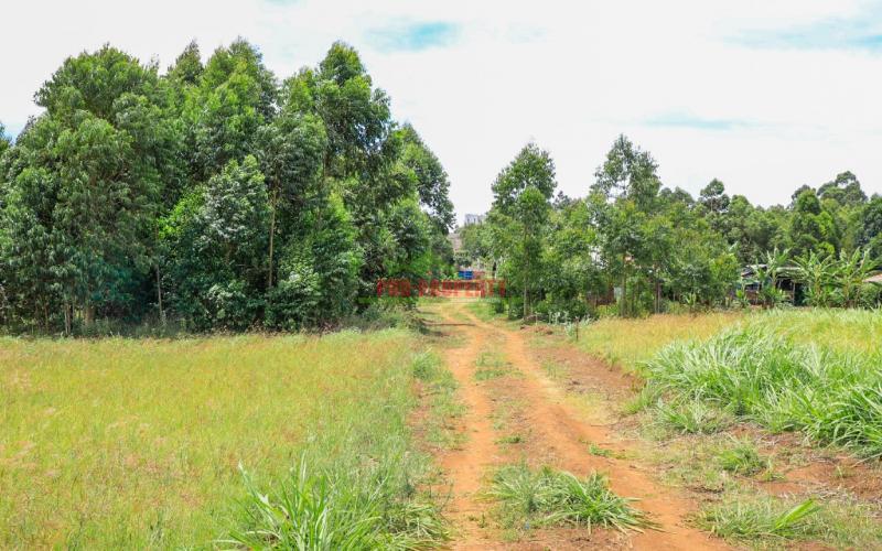 Prime Residential Plots For Sale In Kikuyu, Kamangu.
