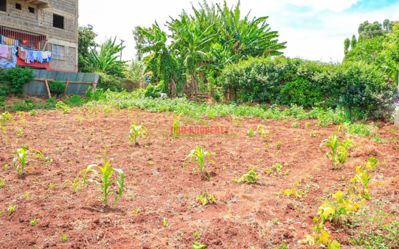Prime Commercial Plot For Sale In Kikuyu, Kinoo