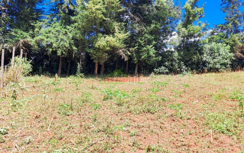 Prime Residential Plots For Sale In Kikuyu, Ondiri In A Gated Community Concept