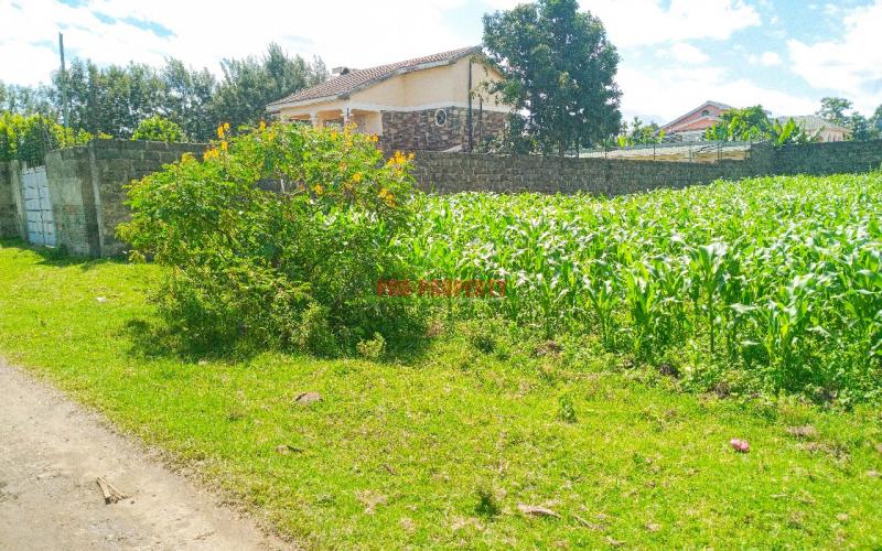 1/4 Acre Residential Plot For Sale In Olive Inn Estate, Nakuru, Kiamunyi.
