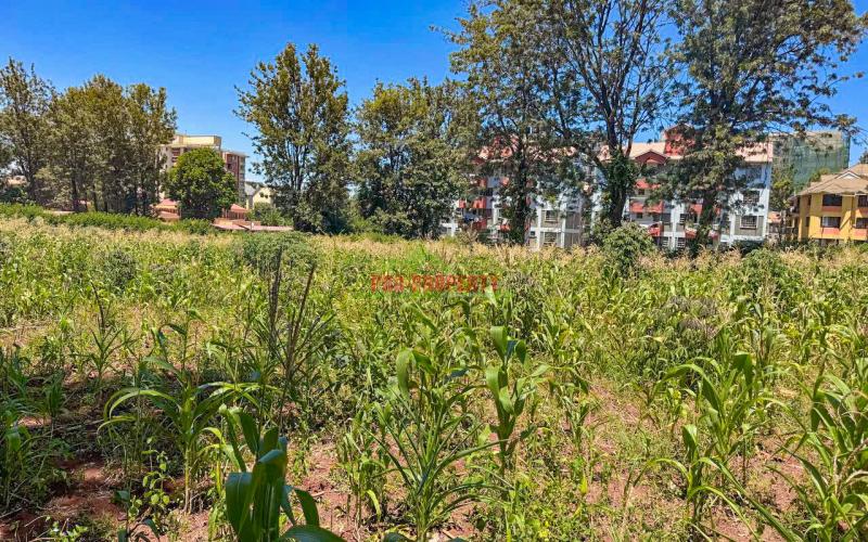 Commercial 3/4 Acre Plot For Sale In Thindigua, Kiambu