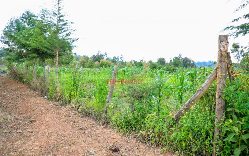 Prime Residential Plot For Sale In Kikuyu, Kamangu.