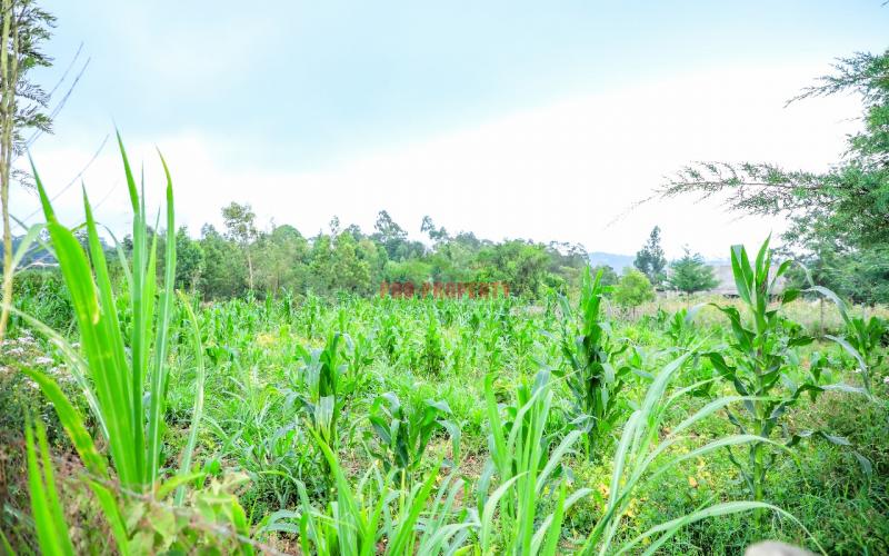 Prime Residential Plot For Sale In Kikuyu, Kamangu.