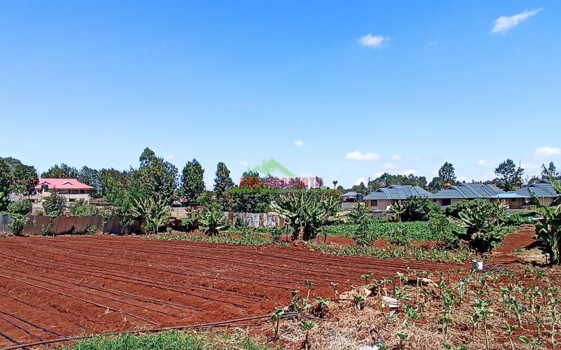 Half Acre Land For Sale In Thogoto, Kikuyu