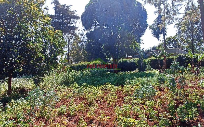 Commercial Plot For Sale In Kikuyu, Thogoto