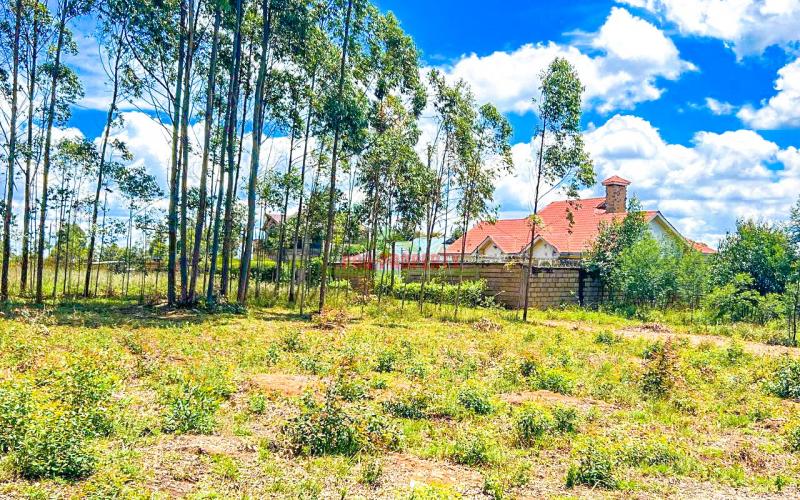 Prime Residential Plot For Sale In Kikuyu,gikambura