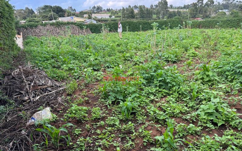 Prime Residential Plot For Sale In Kikuyu, Kamangu.