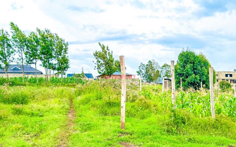 Prime Residential Plot For Sale In Kikuyu ,kamangu.