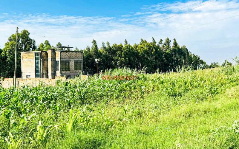 Prime Residential Plot For Sale In Kikuyu, Kamangu.
