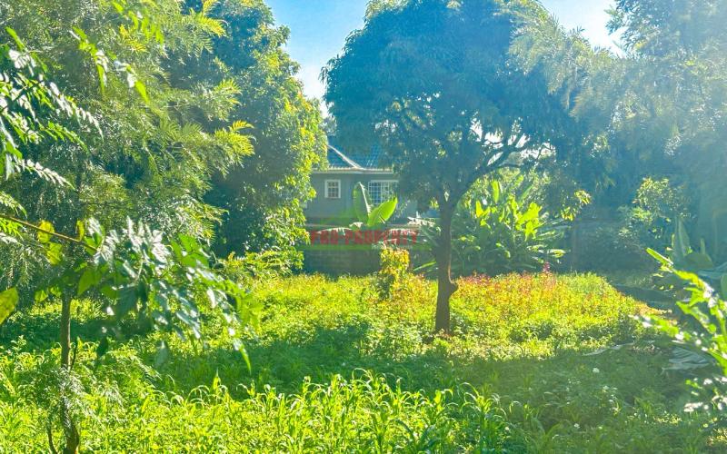 Prime Residential Plot For Sale In Kikuyu, Gikambura.