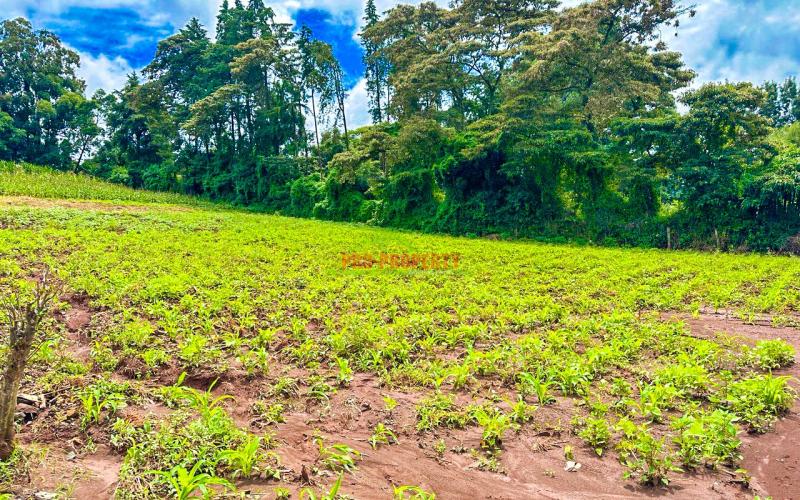 Residential Plots For Sale In Kikuyu, Gikambura (rio – Breeze Area).