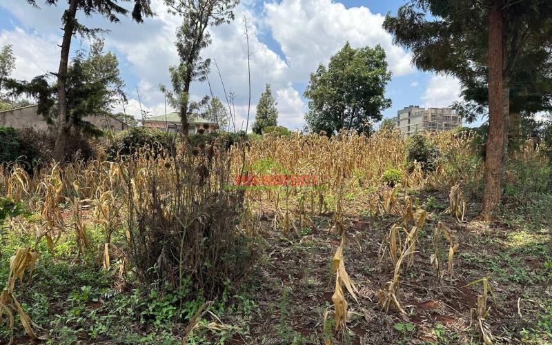 Commercial Plot For Sale In Kikuyu, Thogoto
