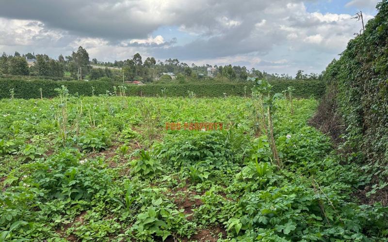 Prime Residential Plot For Sale In Kikuyu, Kamangu.