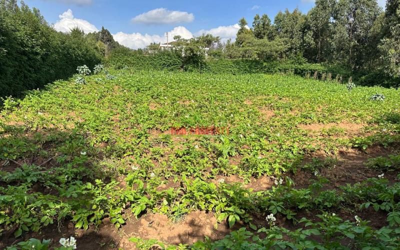 Prime Residential Plot For Sale In Kikuyu, Kamangu