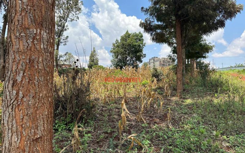 Commercial Plot For Sale In Kikuyu, Thogoto