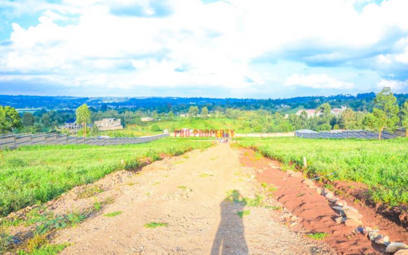 Rose Gate Estate Phase 3 In Kikuyu, Lusingetti