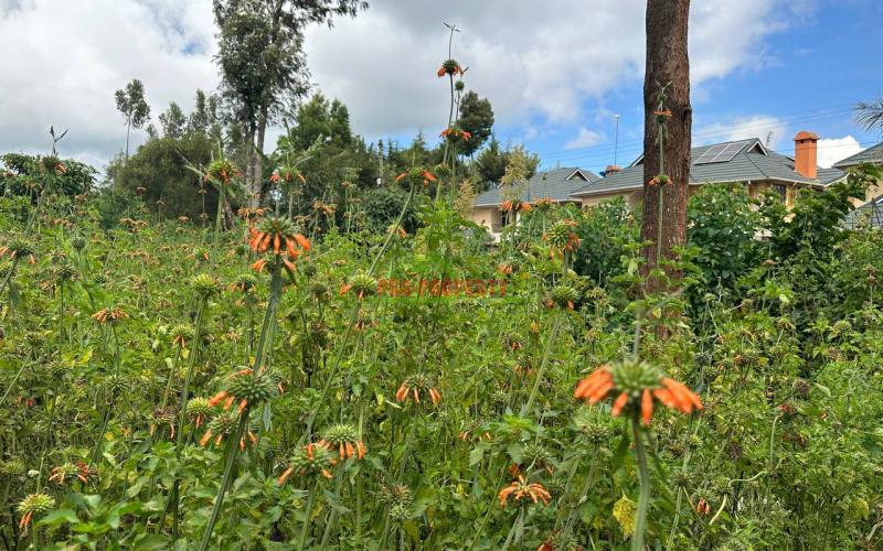 Prime Residential Plot For Sale In Kikuyu ,thogoto